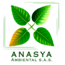 Anasya Ambiental